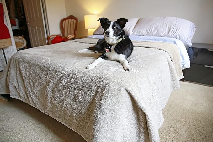 Kritter Planet Large Waterproof Bed Blanket for Intimacy, King Size Love Couples Bed Cover Leakproof, Reversible Protector Furniture Couch Cover for Dogs Pets, Washable, Stain Proof, Hair Resistant