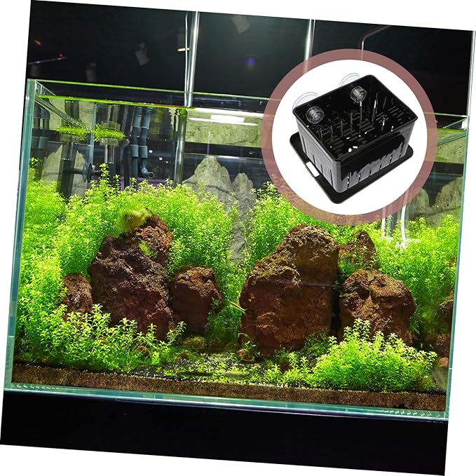 SUPVOX Professional Lizard Breeding Box Reusable Incubation Box for Isolation Sturdy Construction