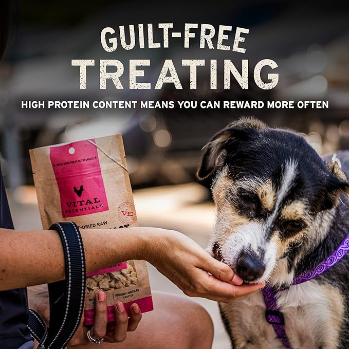 Vital Essentials Freeze Dried Raw Duck Hearts Dog Treats | Single Ingredient | Premium Quality | Grain Free Treats for Dogs, 10 oz Bag