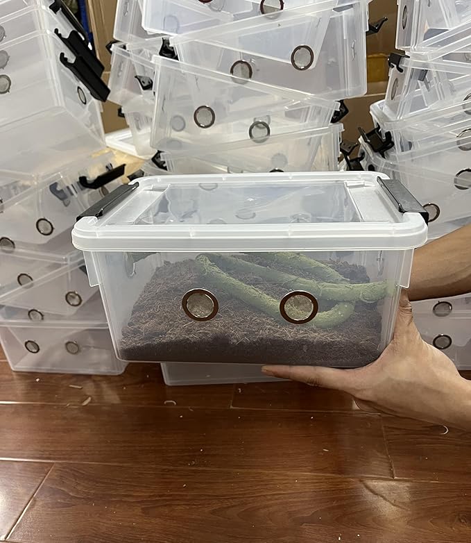 2pcs Large Reptile Feeding Box Snake Breeding Box Plastic Reptile Tank for Sling,Geckos,Frog,Lizards,Chameleons,Turtles, Serpents Scorpion Snail Insect Hermit Crab Spider