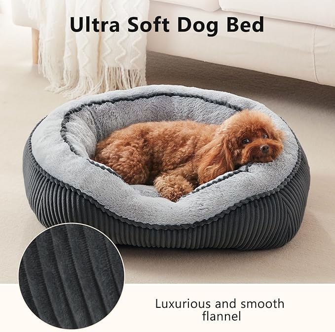 SIWA MARY Washable Dog Bed for Small Medium Sized Dogs, Rectangle Small Puppy Cat Dog Beds, Orthopedic Pet Bed, Soft Breathable Calming Pet Sofa Bed Anti-Anxiety with Anti-Slip Buttom, S(20"x19"x6")