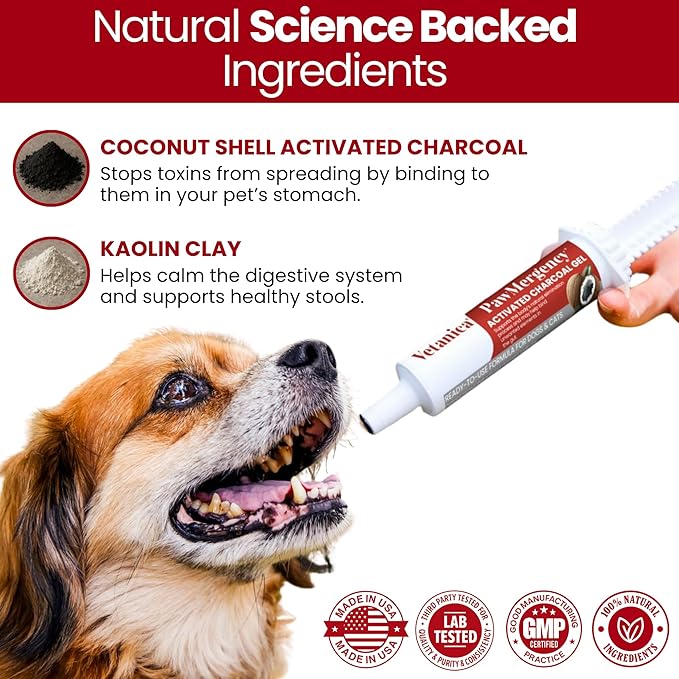 PawMergency – Activated Charcoal First Aid Kit Emergency Rescue for Dogs, Cats, Puppy & Pet Poison Kit, Camping Survival Remedy Essential, Oral Anti Diarrhea Digestive Absorb Toxins 2 Pack