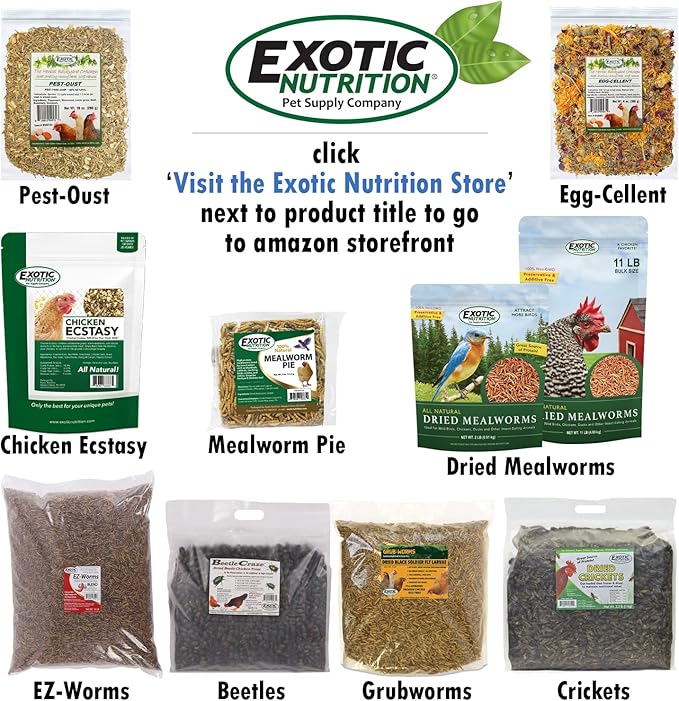 EZ-Worms (10 lb) - Blend of Dried Mealworms & Black Soldier Fly Larvae (BSFL) - Healthy Insect Treat - Chickens, Bluebirds, Sugar Gliders, Hedgehogs, Squirrels, Skunks, Reptiles, Turtles, Fish