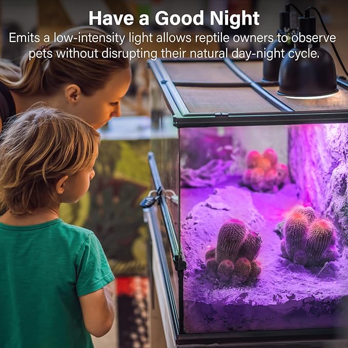 Lustaled Reptile Heat Lamp Bulbs-100W Reptile Night Heat Bulb E26 Terrarium Heat Lamp Simulate Natural Moon Purple Light for Snake Bearded Dragon Leopard Gecko Lizard Chameleon Tortoise -2Pack