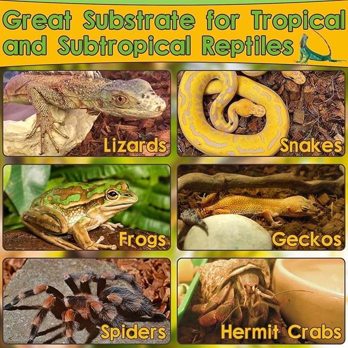 Halatool 2 Pack Snake Bedding Natural Coconut Chips Substrate Coco Husk for Reptiles Tank Terrarium Substrate for Ball Python Frog Gecko Hermit Crab Tortoise