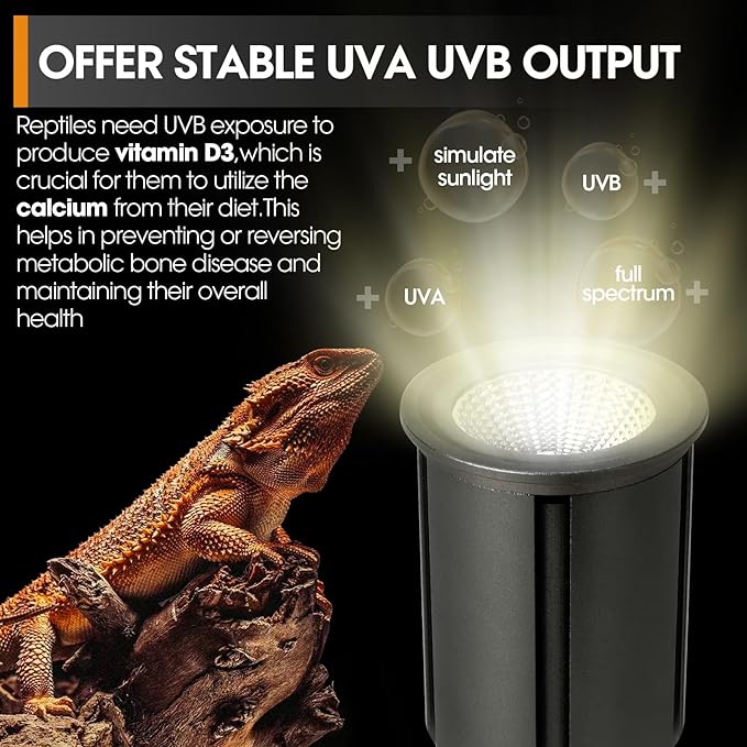 5.5 Inch Reptile Deep Dome Light Fixture UVB Reptile Light