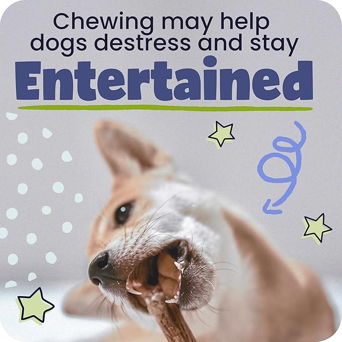 Pawstruck All-Natural 12" Bully Sticks for Dogs - Long Lasting, Rawhide-Free, Low Odor & Grain-Free Dental Chew Treat - Healthy Single Ingredient, 100% Real Beef - 1 lb Bag
