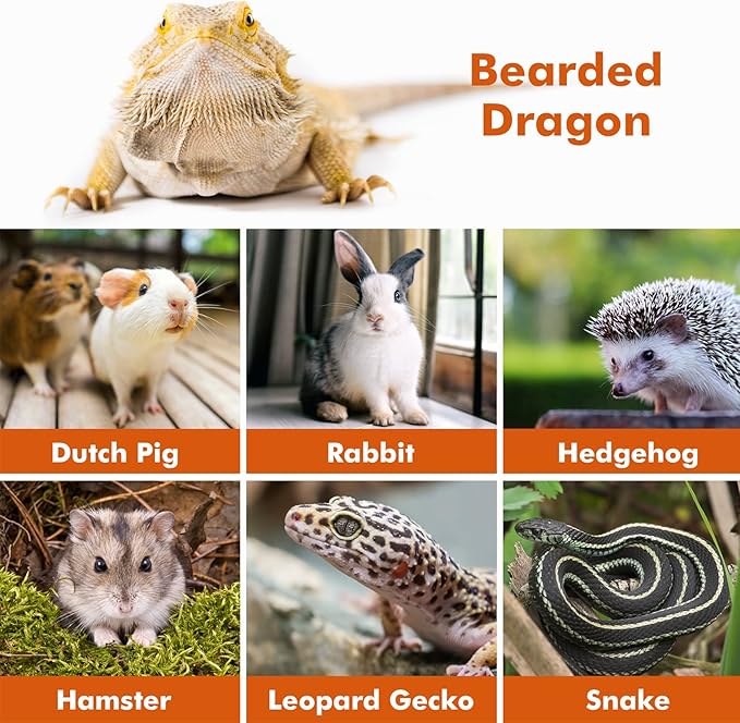LIKZINWA Bearded Dragon Lizard Leash Harness,4 Size Pack Adjustable Small Animal Harness for Reptile and Small pet (Brown)