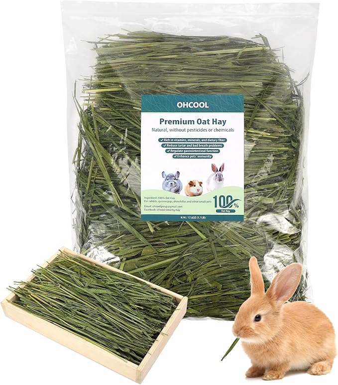 Premium Oat Hay for Pets - Dust Free Natural Green Fresh Pet Food Hay for Rabbits, Guinea Pigs, Chinchillas, Hamsters & Gerbils - 6.6 lbs