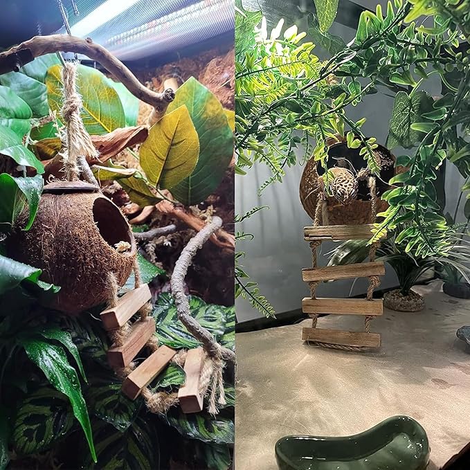 5PCS Coconut Hut for Gecko, Lizard Coco Den with Ladder and Reptile Hammock Bearded Dragon Tank Accessories Climbing Hanging Plants Jungle Vine Flexible Reptile Leaves Decor