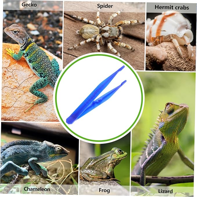 6pcs Reptile Accessories Long Tweezers for Aquarium Lizard Tank Feeding Tool Plastic Reptiles Food Clamp