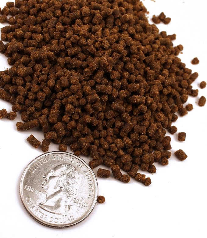 Newt & Salamander Bites (1.2 oz)