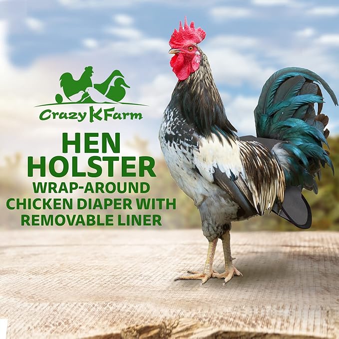 Hen Holster Wrap-Around Bird Diaper & Harness for Hens, Roosters, Ducks, Geese - with Removable Vinyl Liner, Adjustable Fit for Outdoor Adventures & Indoor Use - Easy to wear - Large, Gray