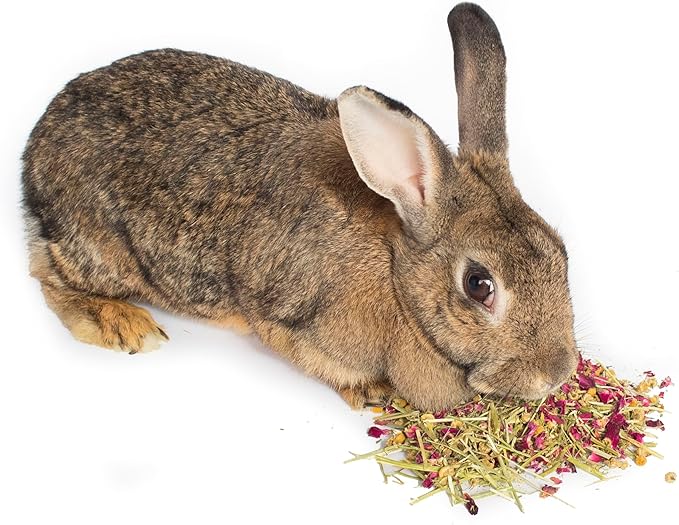 Pampered Chicken Mama Herbal Calming Forage (2 Ounces): Premium Rabbit Food, Hay for Guinea Pigs Food, Chinchilla Food, Hamster Treat Made with Timothy Hay & Dried Edible Herbs (2 Ounces)