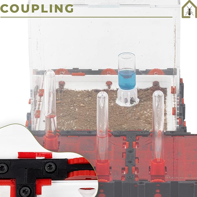Anthouse.ES - 3D Modular Anthill Foraging Box - QBIK Mega Foraging Box Model - 24.78x24.78x16.70 cm - Ant Colonies - Terrarium