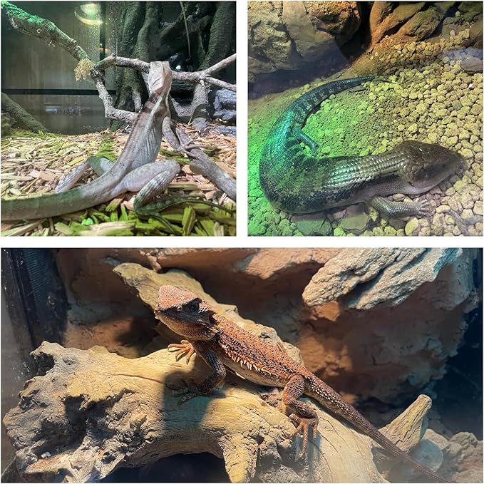 Bearded Dragon Tank 120 Gallon Reptile Terrarium 4x2x2 Ft, Aluminum Reptile Enclosure with 270° View, Mesh Top, Lockable Sliding Glass Doors