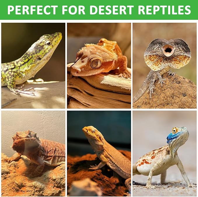 Aiicioo UVB Reptile Light 10.0 23W Desert UVB Spiral Compact Fluorescent Lamp UVB Reptile Light Bulb Tropical and Sub-Tropical UVB Bulb for Reptiles