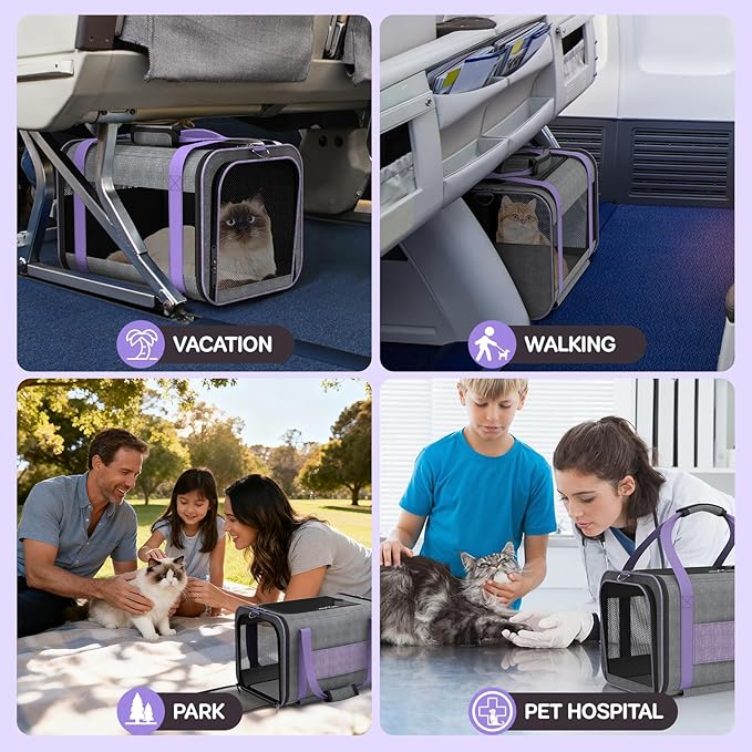 Cat Carrier on Wheels Airline Approved: Betopet Rolling Cat Carrier for Small Dog Medium Cat Under 18lbs - Cat Soft Carrier Pet Travel Bag TSA Approved Under Seat for Airplane Transport Flight