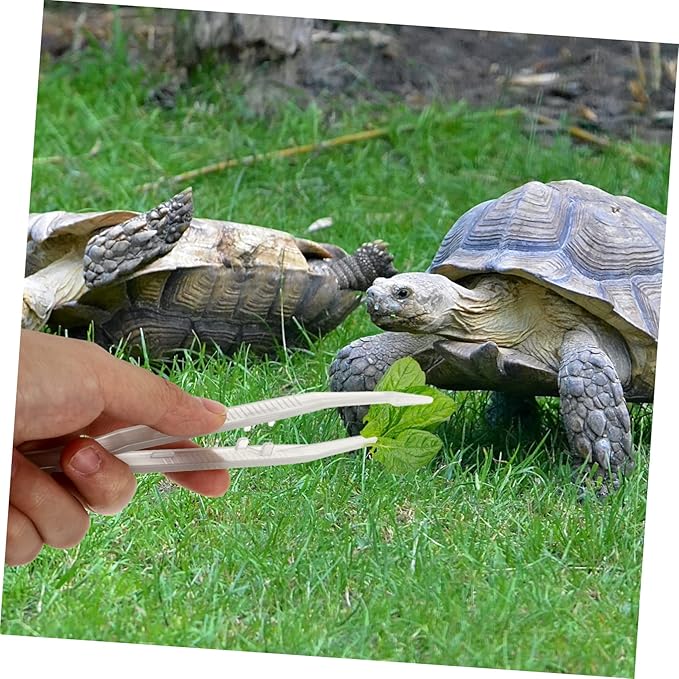 BESPORTBLE 2pcs Lizard Feeding Tweezers Reptile Feeding Tool for Lizards Turtles Frogs Lightweight and Easy to Grip Night Glow Tweezers for Pet Care