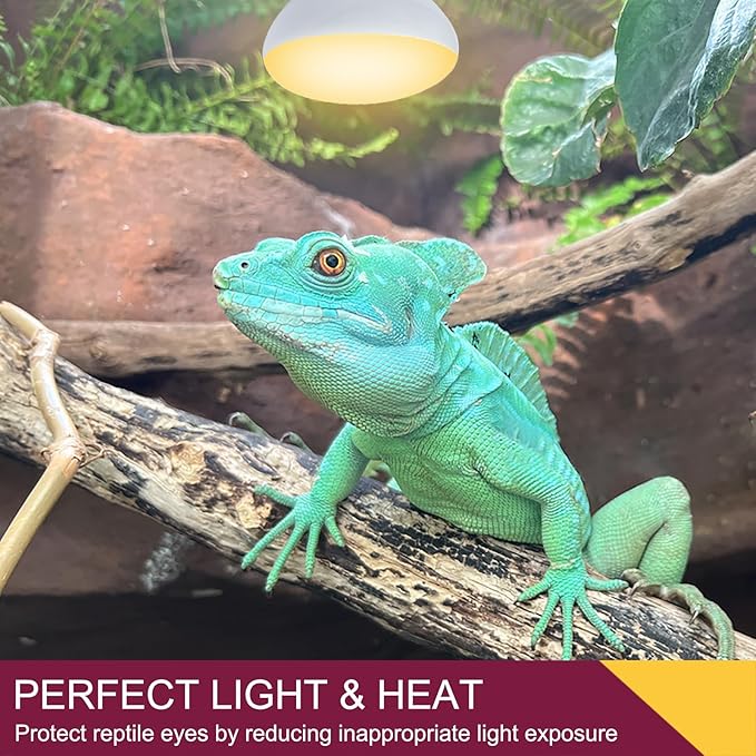 150W Reptile Heat Lamp Bulb,Basking Spot Lamp Bulb for Reptiles & Amphibians，Reptile Daylight Heat Bulb for Bearded Dragon, Lizard, Turtle