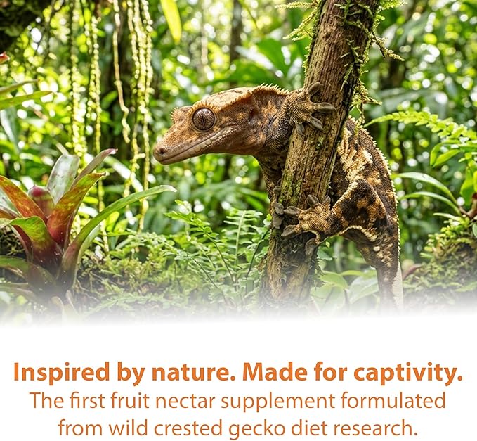 CTWPets Gecko Treat – Liquid Fruit Nectar Drops for Crested Gecko, Day Gecko & Gargoyle Gecko | Treat, Water Additive & CGD Mixer (2oz, Mango Papaya)