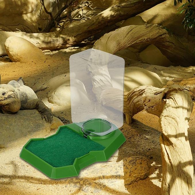 Healifty Reptile Feeding Box and Water Dispenser for Lizards, Green Hydration Dish for Gecko and Tortoise Terrariums, 1pcs Pet Water Bowl for Reptiles and Amphibians