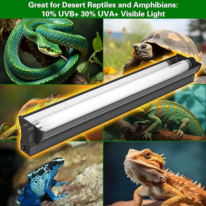 T8 UVB Reptile Light Fixture HO UVB Bulb Lighting Combo Kit with 18 Inch 15 Watt UVB 10.0 Fluorescent Bulb,Reptile Strip Light UVA UVB Desert Lamp Pet Habitat Light for Reptiles Amphibian-T8 15W G13