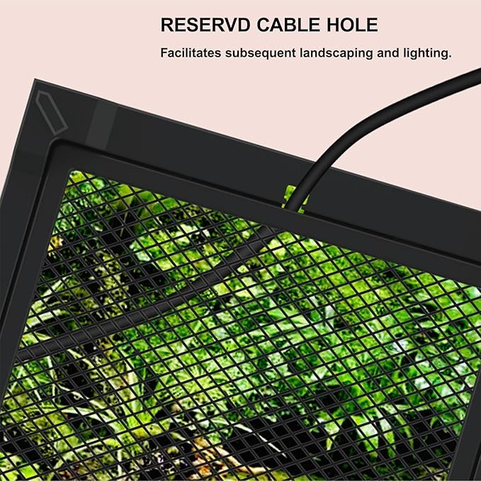 Reptile Tall Glass Terrarium Rainforest Habitat Single Door with Screen Ventilation,Small Reptile Terrarium for Spiders, Tarantulas, Snail, Mantis, Lizard (10 * 10 * 13.8 inch)