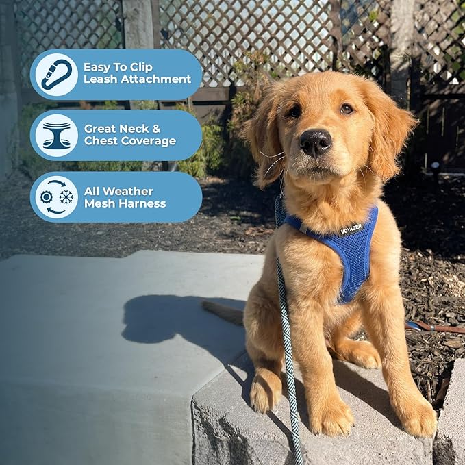 Best Pet Supplies Voyager Step-in Air All Weather Mesh Harness and Reflective Dog 5ft Leash Combo with Neoprene Handle, for Small, Medium and Large Breed Puppies - Set (Royal Blue), X-Large