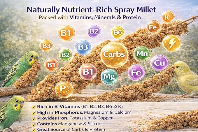 2lbs Wholesome Spray Millet for Birds – Grown, Harvested & Packed in The USA – 100% Natural, Sun‑Dried Bird Treat – Foraging Millet for Parakeets, Cockatiels, Conures, Budgies & Parrots