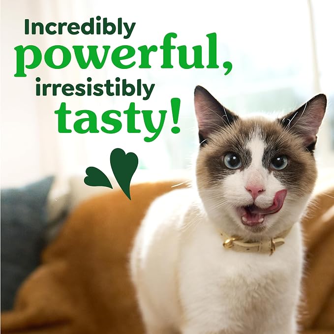 Greenies Feline Natural Dental Cat Treats, Tempting Tuna Flavor, 9.75 oz - Image 7