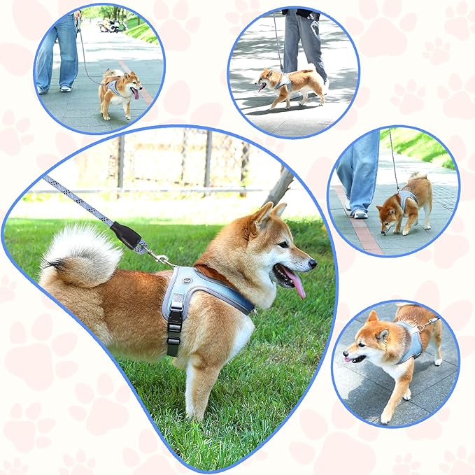 Dog Harness and Leash Set, No Pull Saddle Style Pet Harness, Breathable Mesh Adjustable Reflective Dog Vest for Dogs and Cat Medium Small Harness 2 D-Rings (Blue, S)