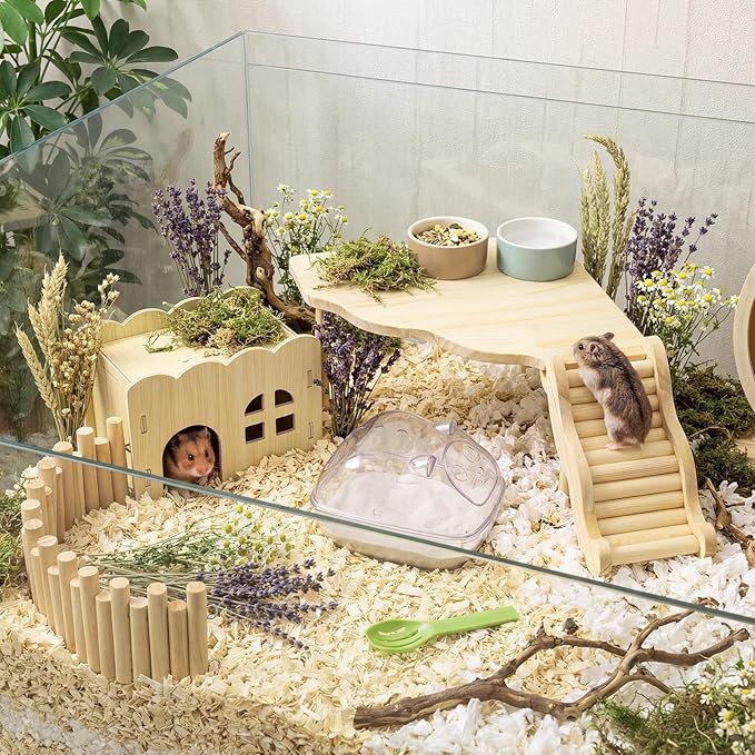Qunclay 5 Pcs Hamster Platform Wooden Ladder Play Hidden House Game Climbing Toy with Hamster Bath Container Decor Cage Accessories for Dwarf Syrian Mice Degus Gerbils Squirrel and Small Animals