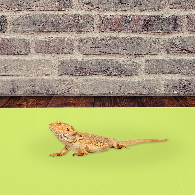 BESPORTBLE 2Pcs Reptile Mat Cuttable Washable Terrarium Bedding Pad for Bearded Dragon Leopard Gecko Snakes Reusable Non-Dusty Substrate Carpet for Tanks