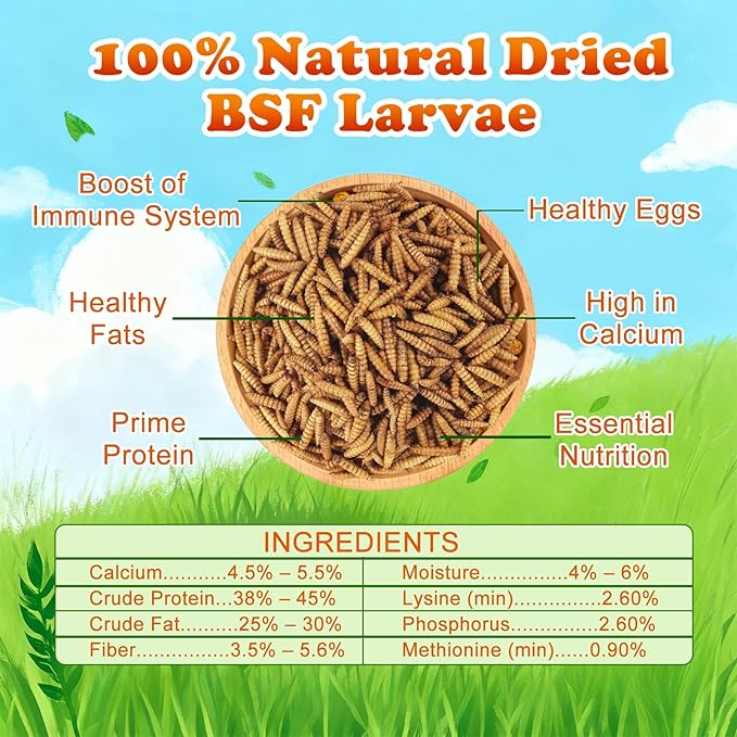 5.5 LBS Dried Black Soldier Fly Larva/Dried Mealworms - 100% Natural BSF Larvae - 85XMore Calcium Than Mealworms - High Calcium Treats for Chickens, Birds, Reptiles, Hedgehog, Geckos, Turtles- 5.5 LBS