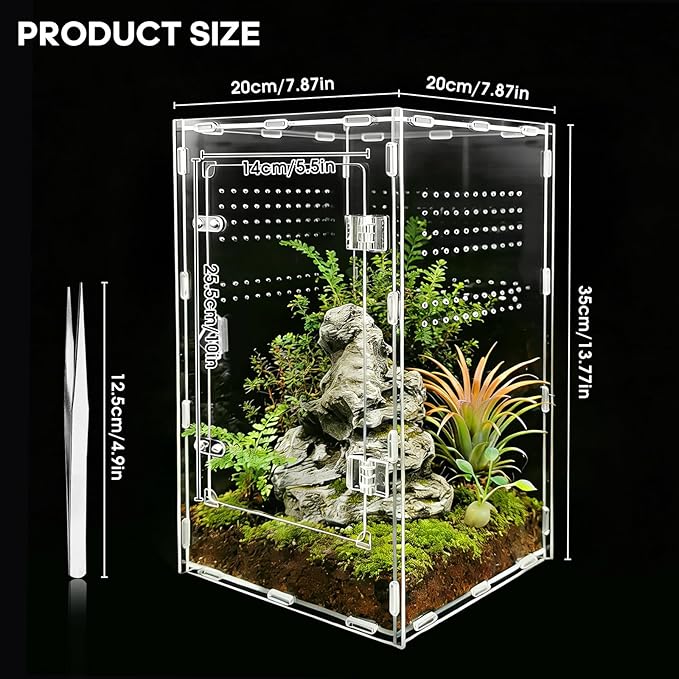 Jumping Spider Enclosure, Insect Terrarium, Bug Cage, Acrylic Terrarium for Tarantula, Snail, Praying Mantis, Frog, and Small Reptiles (7.8" x 7.8" x 13.7")