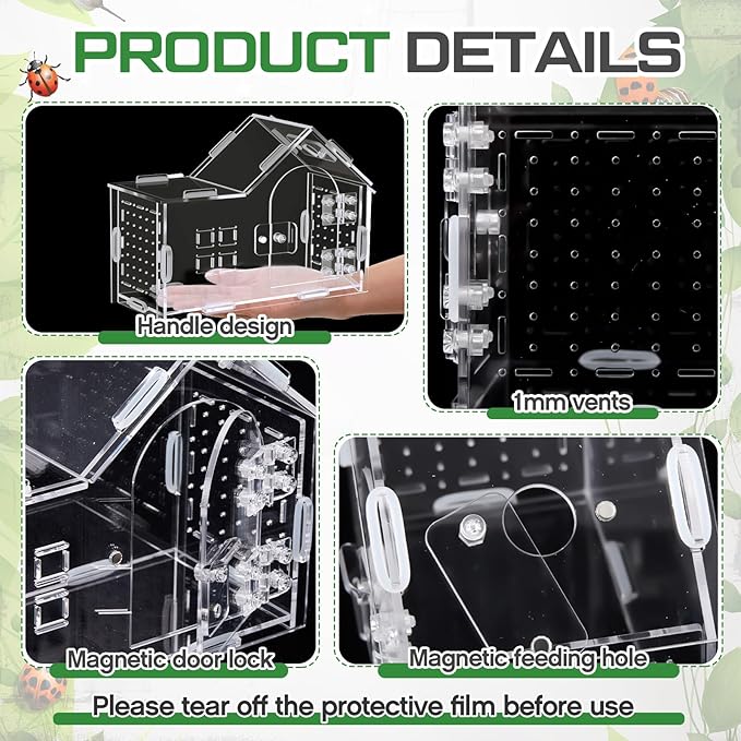 Teenyyou 7.9 x 5.9 x 3.9 Inches Large Jumping Spider Enclosure Acrylic Tarantula Enclosure Reptile Habitat with Handle and Magnetic Door for Reptiles, Amphibians and Spiders