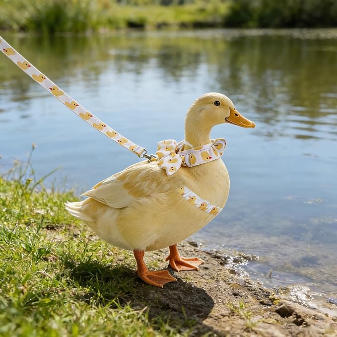 2 Pcs Chicken Leash, Duck Harness and Leash Set, Adjustable Small Animal Harness Leash, Chicken Leash and Harness Set, Chicken Vest Easy to Wear for Goose Duck Training Walking Strap Traction Rope