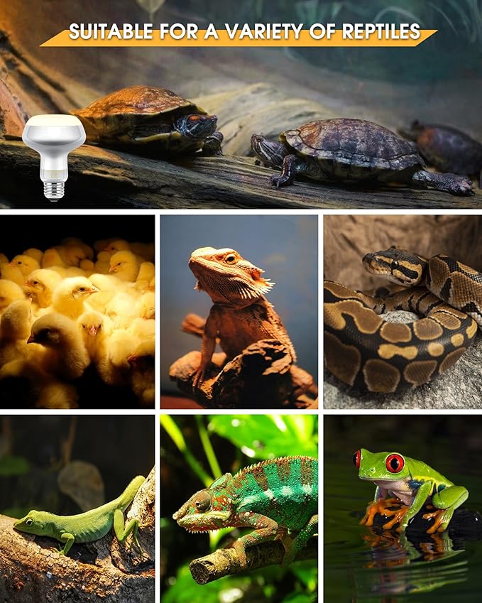 EvaStary Reptile Heat Bulb, 100W Simulated Natural Daylight Reptile Basking Spot Light Bulbs, UVA Reptile Heat Lamp Bulbs for Reptiles, Bearded Dragon, Lizard, Amphibian, Turtle, Snake, Chicken, 2Pack