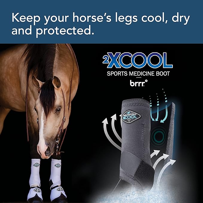 Professional's Choice 2XCOOL Sports Medicine Horse Boots | Protective & Breathable Design for Ultimate Comfort & Durability in Active Horses | Value 4 Pack