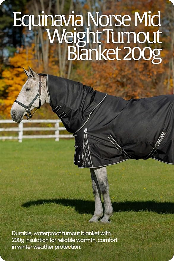 Equinavia Norse 200g Medium Weight Horse Blanket | Waterproof Winter Turnout - Black - 66 in - Black - 69 in