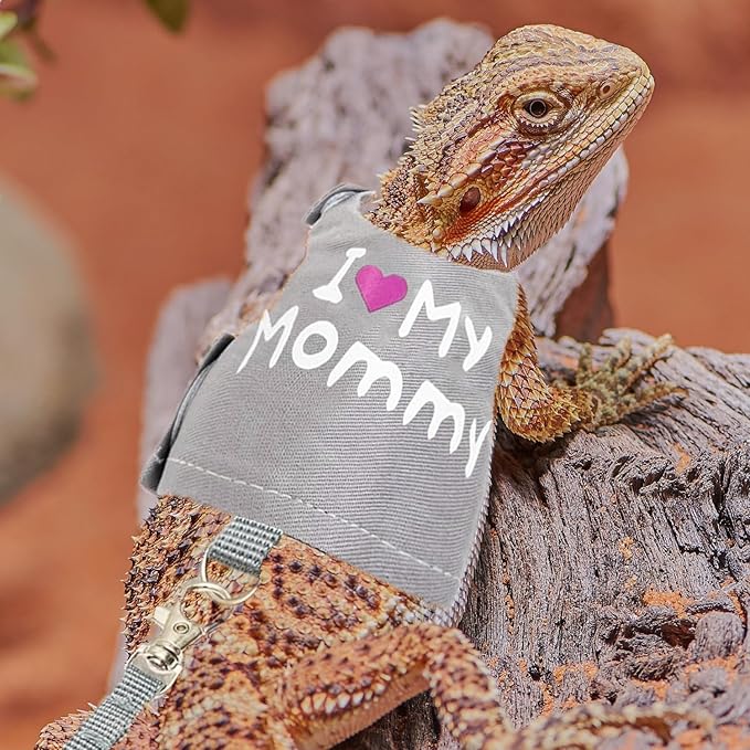 Bearded Dragon Harness and Leash Set - Adjustable Lizard Harness with Glow in The Dark Print Outdoor Traction Rope Walking Leash Reptile Halloween Costume Accessories for Small Pets (Grey)