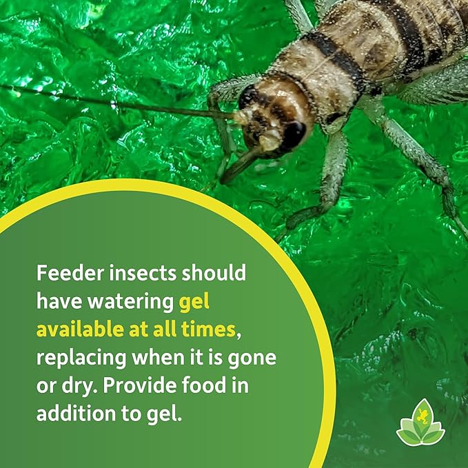 Josh's Frogs Insect Watering Gel (1 Gallon)