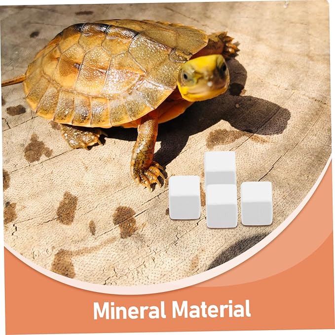 BESPORTBLE 6pcs Natural Mineral Block for Reptiles and Crabs Pumice Chew for Fish Tank Habitat of Minerals for Pets for Stimulation and
