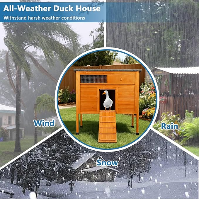 FunXplore Insulated Duck Coop Weatherproof Wooden Outdoor Warm Duck House for Outside Small Animal Pet Hutch with Larger Windows Openable Asphalt Roof Elevated Legs
