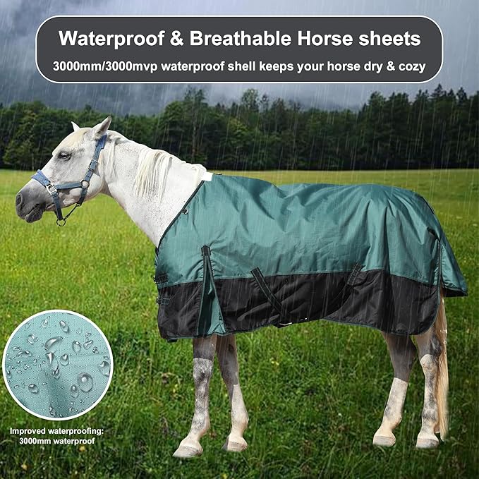 1200D Ripstop Waterproof Breathable Horse Blanket (200g Fill), Medium Weight Warm Winter Turnout, Thermal Protection for Cold & Snow Greenblack 81"