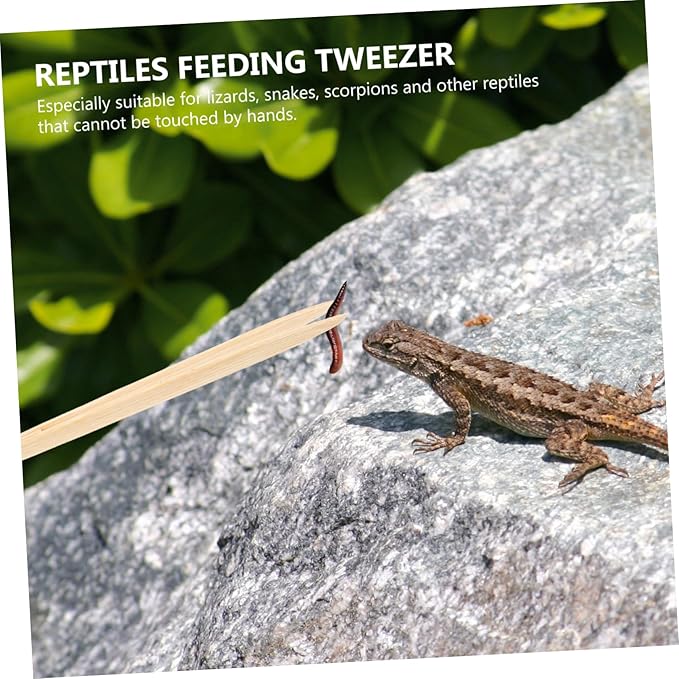 Ergonomic Reptile Food Tweezer Bamboo Feeding Tongs for Terrarium Pet Accessory Clip