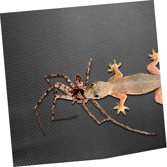 COLLBATH Reptile Carpet Mat for Turtles Snakes and Lizards Substrate Bedding for Reptile Terrariums Black Easy Clean Accessory