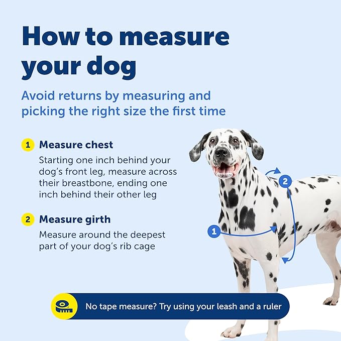 PetSafe Easy Walk No-Pull Dog Harness - The Ultimate Harness to Help Stop Pulling - Take Control & Teach Better Leash Manners - Helps Prevent Pets Pulling on Walks, Medium, Apple Green/Gray