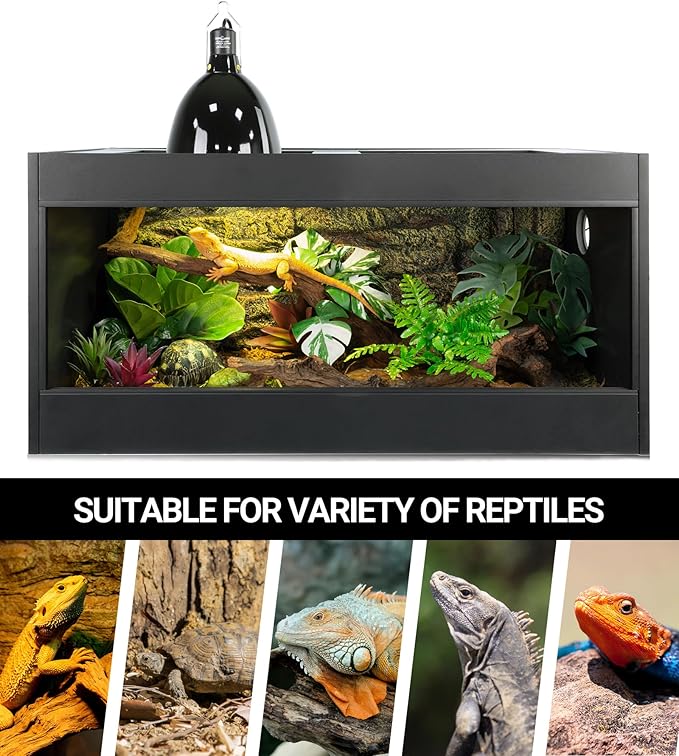 REPTI ZOO Lighting Combo Kit 160W Reptile Heat Lamp UVA UVB Bulbs for Reptiles and 8.5 Inch Reptile Light Fixture Dome Lamp Fixture Dome Light with Timer Tortoises/Snakes/Lizards/Bearded Dragons